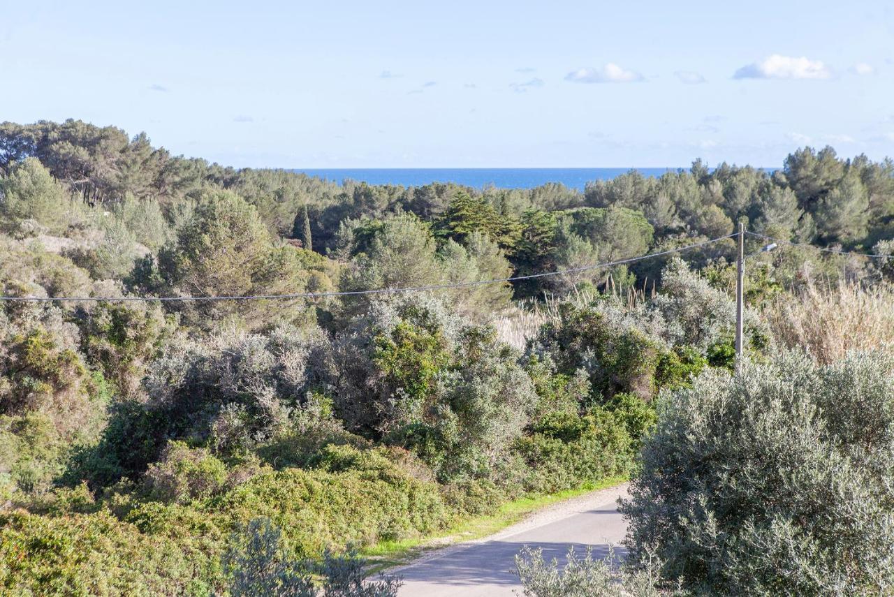 B75 - Casa Delfim In Alfanzina Carvoeiro Apartman Carvoeiro  Kültér fotó